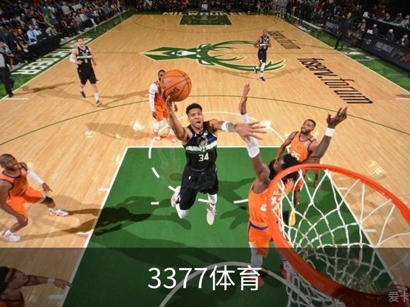 3377体育品牌故事